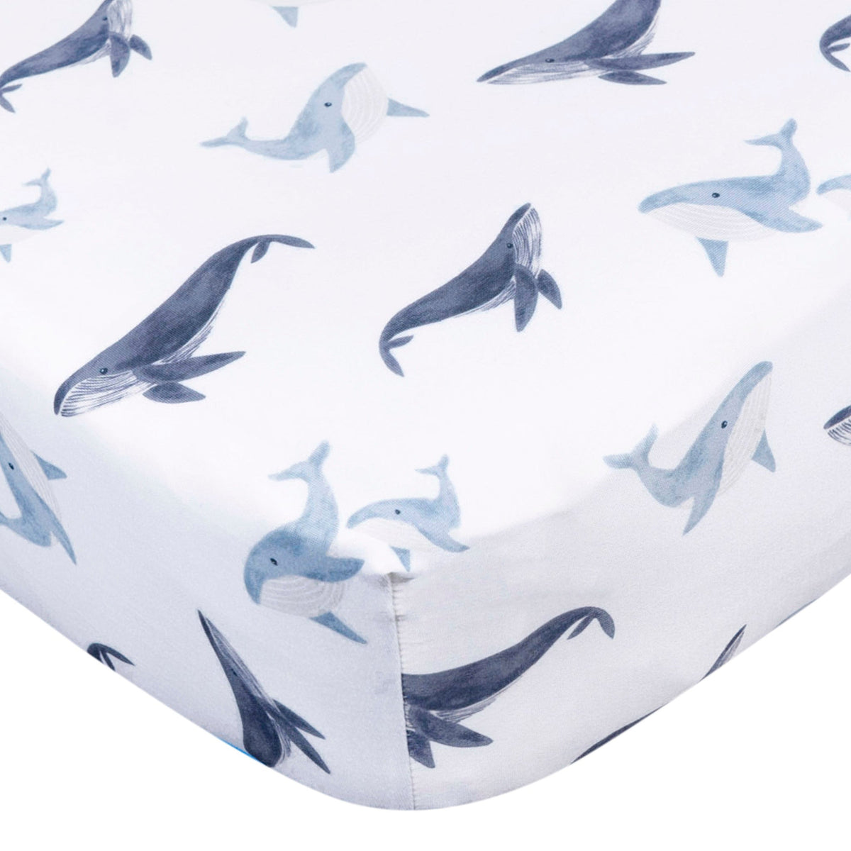 2-Pack Baby Boys Coastal Calm Crib Sheet, view 7