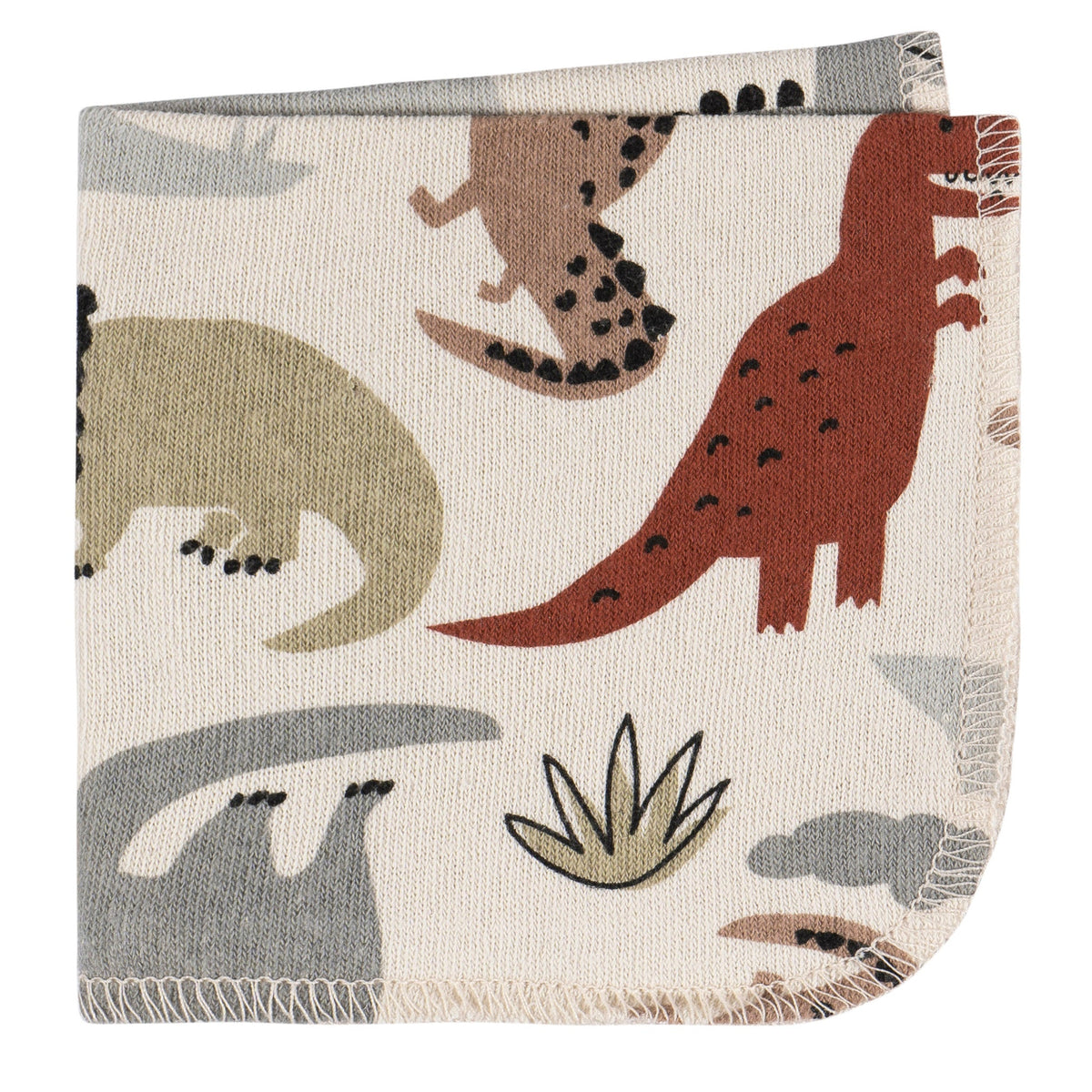 4-Pack Baby Boys Dinos Washcloth, view 5