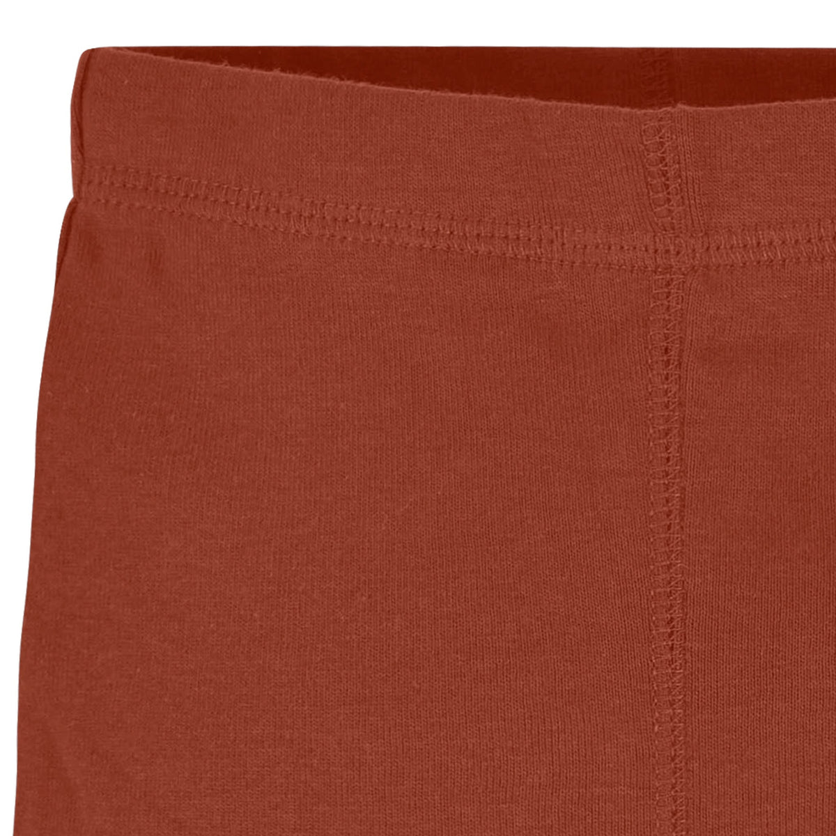 2-Pack Baby Boys Dino Active Pant, view 5