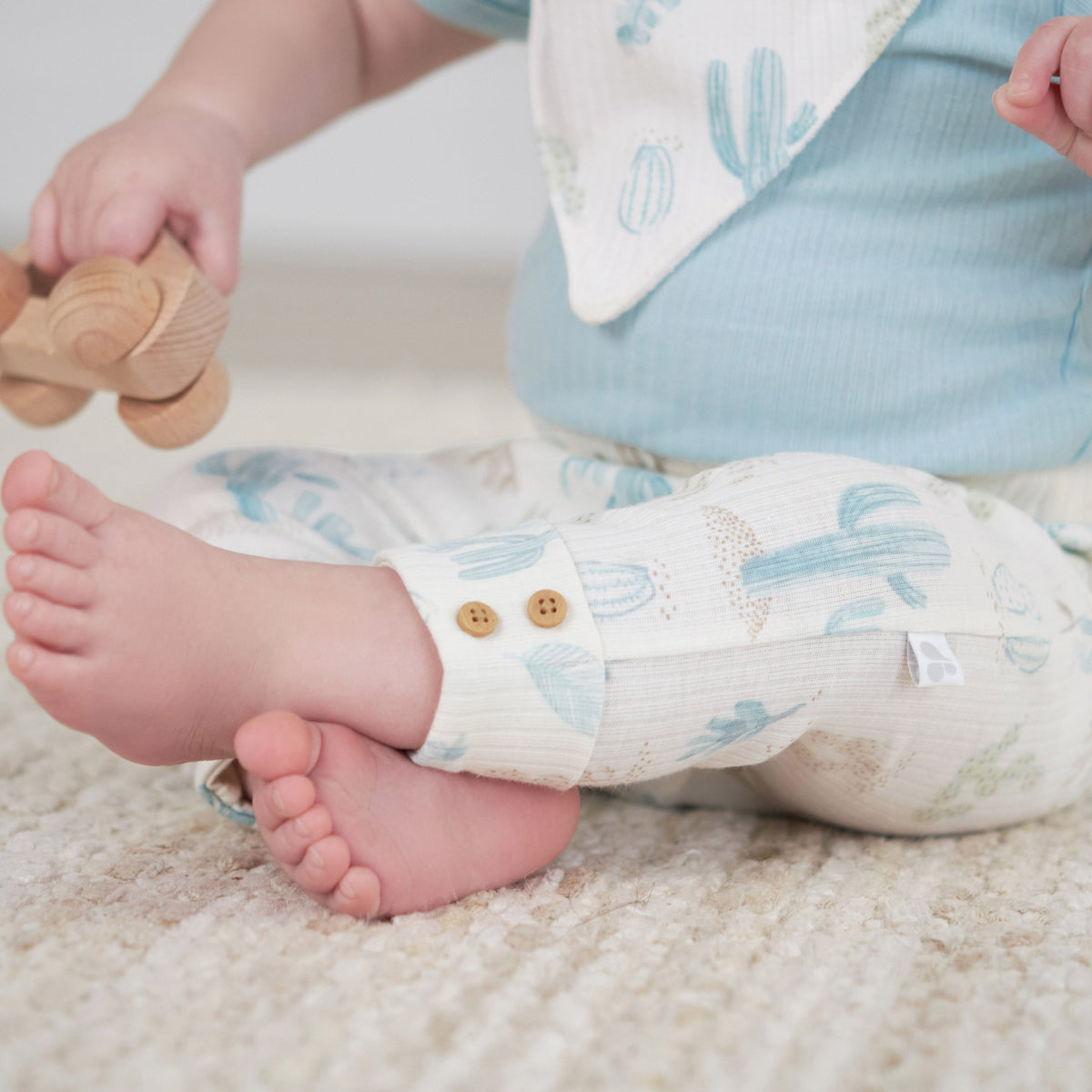 2-Pack Baby Boys Desert Cactus Pants, lifestyle photo 1