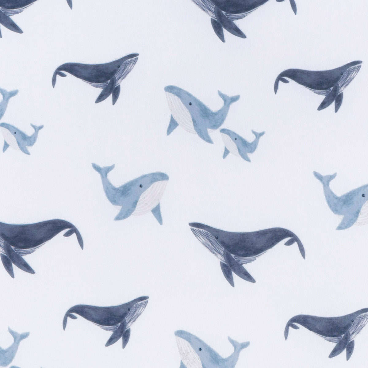Baby Boys Coastal Calm Crib Sheet, close-up detail 1