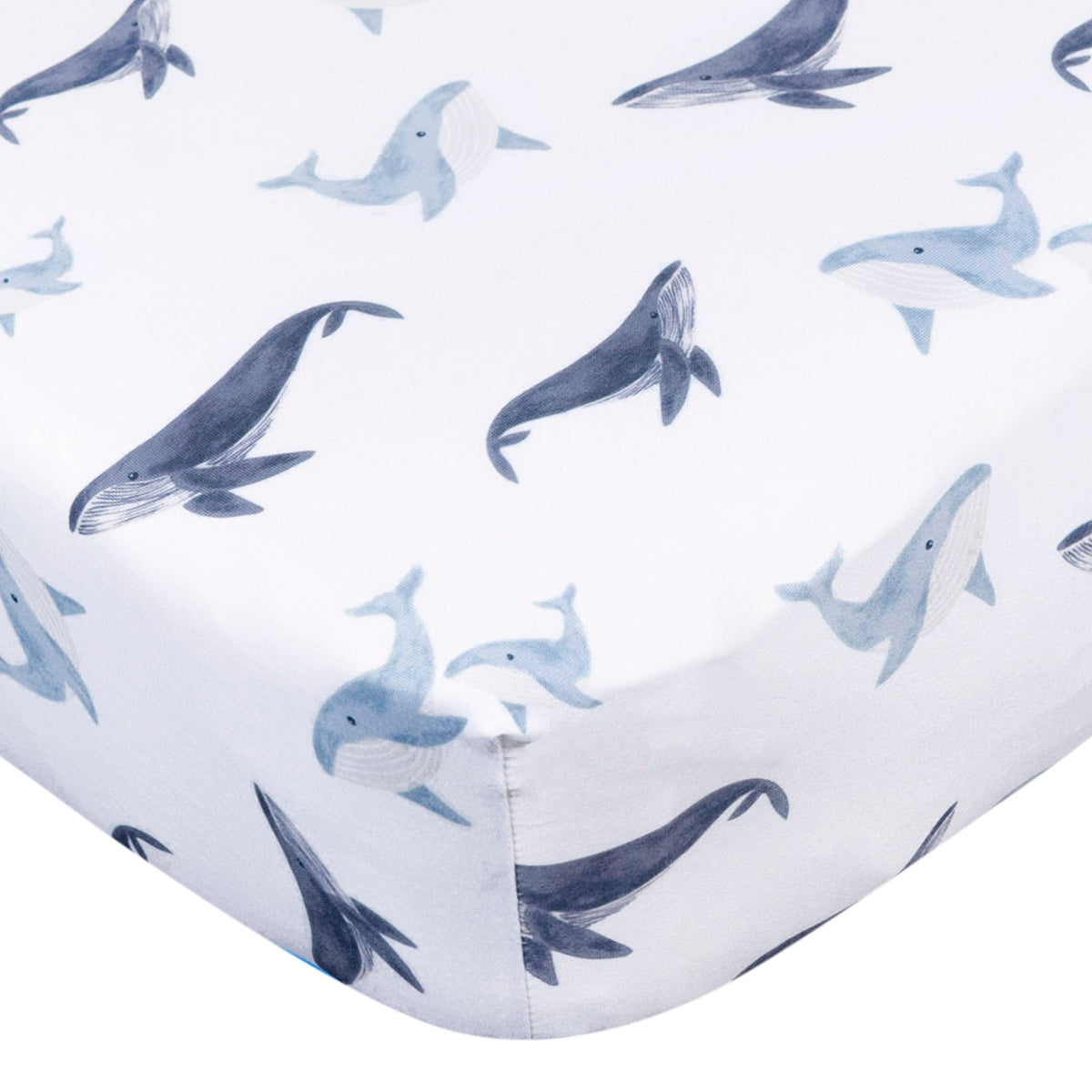 Baby Boys Coastal Calm Crib Sheet