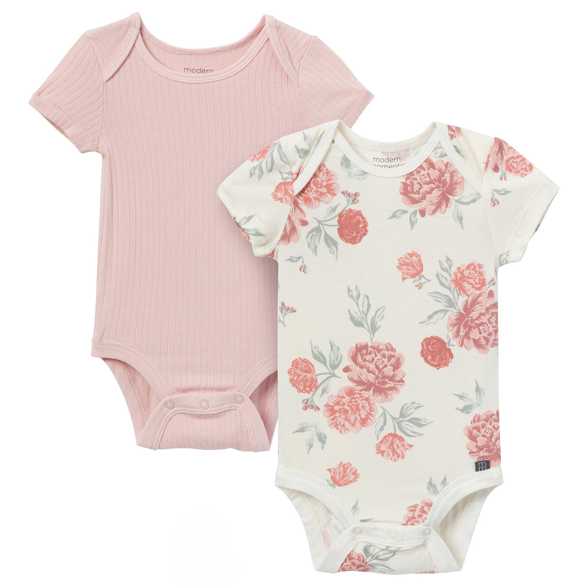 2-Pack Baby Girls Ivory Cabbage Rose Bodysuits