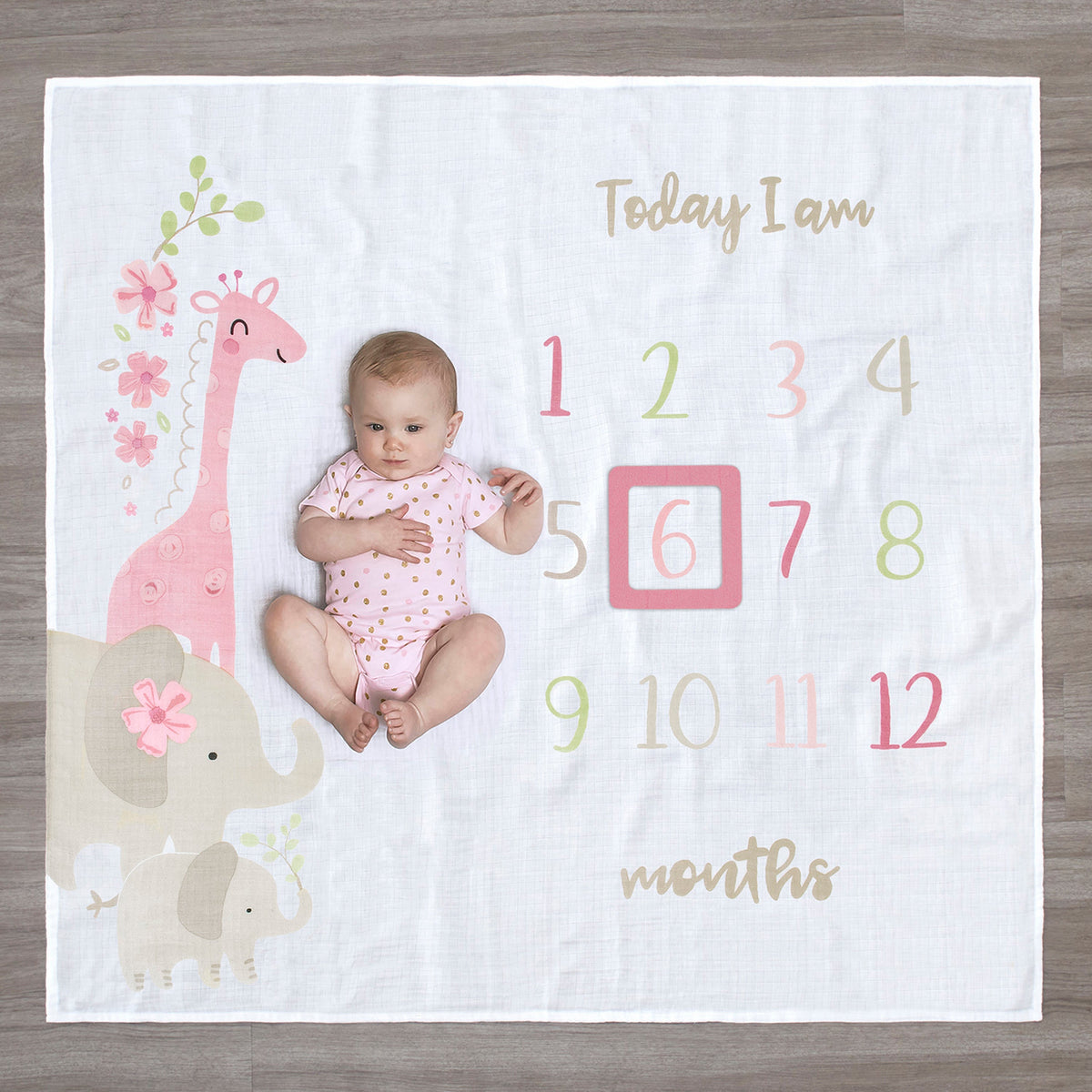 2-Piece Baby Girls Safari Milestone Blanket Set, view 2