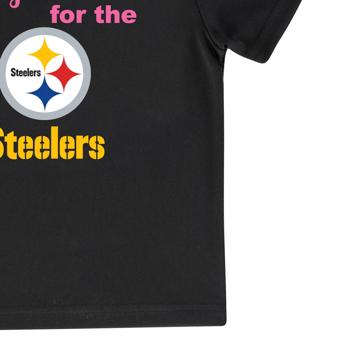 Pittsburgh Steelers Short Sleeve Tee, view 3