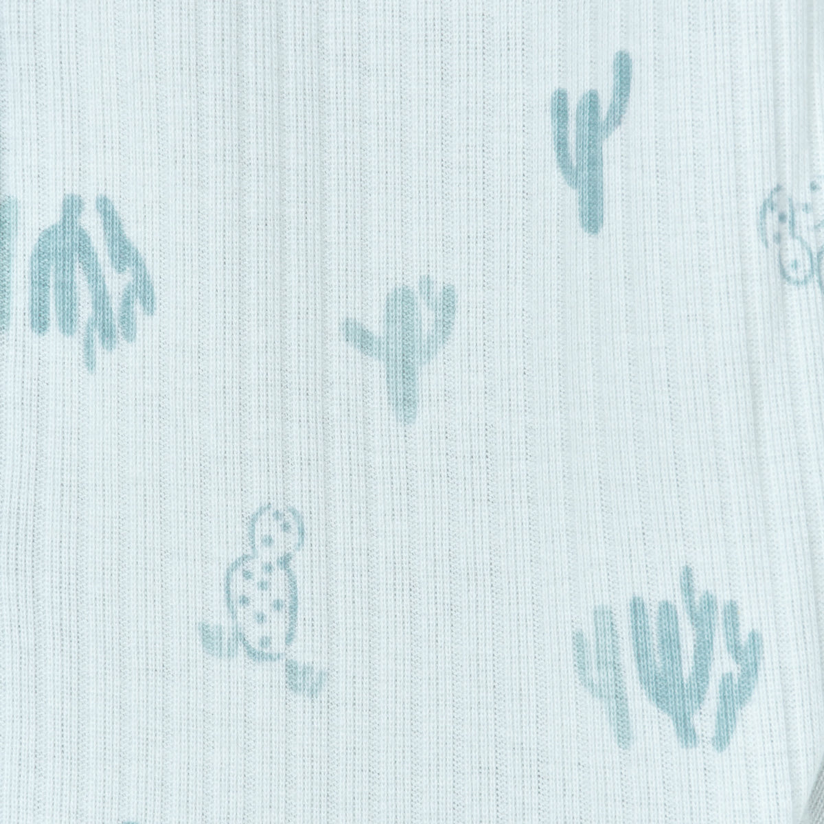 Baby Boys Desert Cactus Sleep 'N Play, view 6