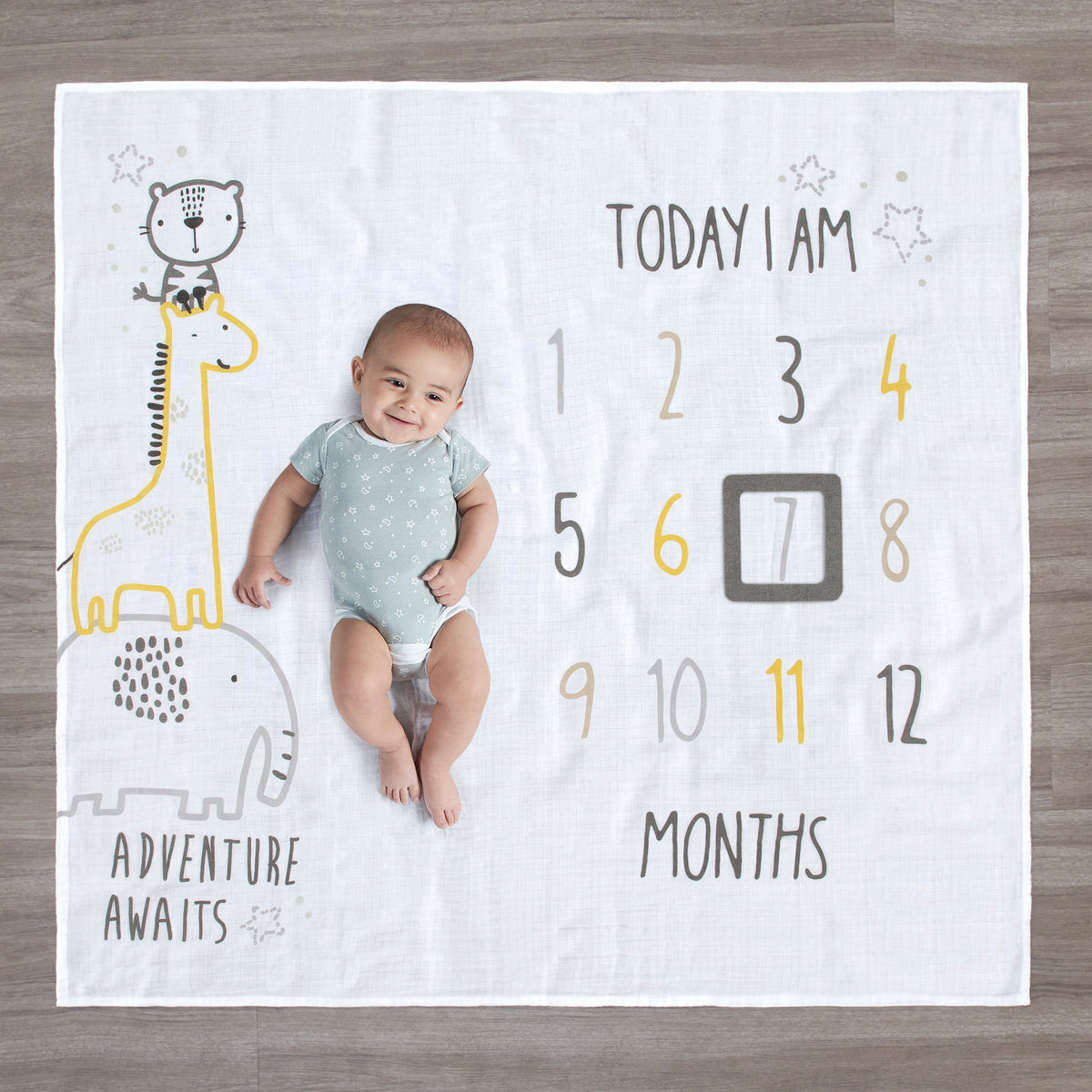 2-Piece Baby Boys Adventure Awaits Milestone Blanket Set, view 2