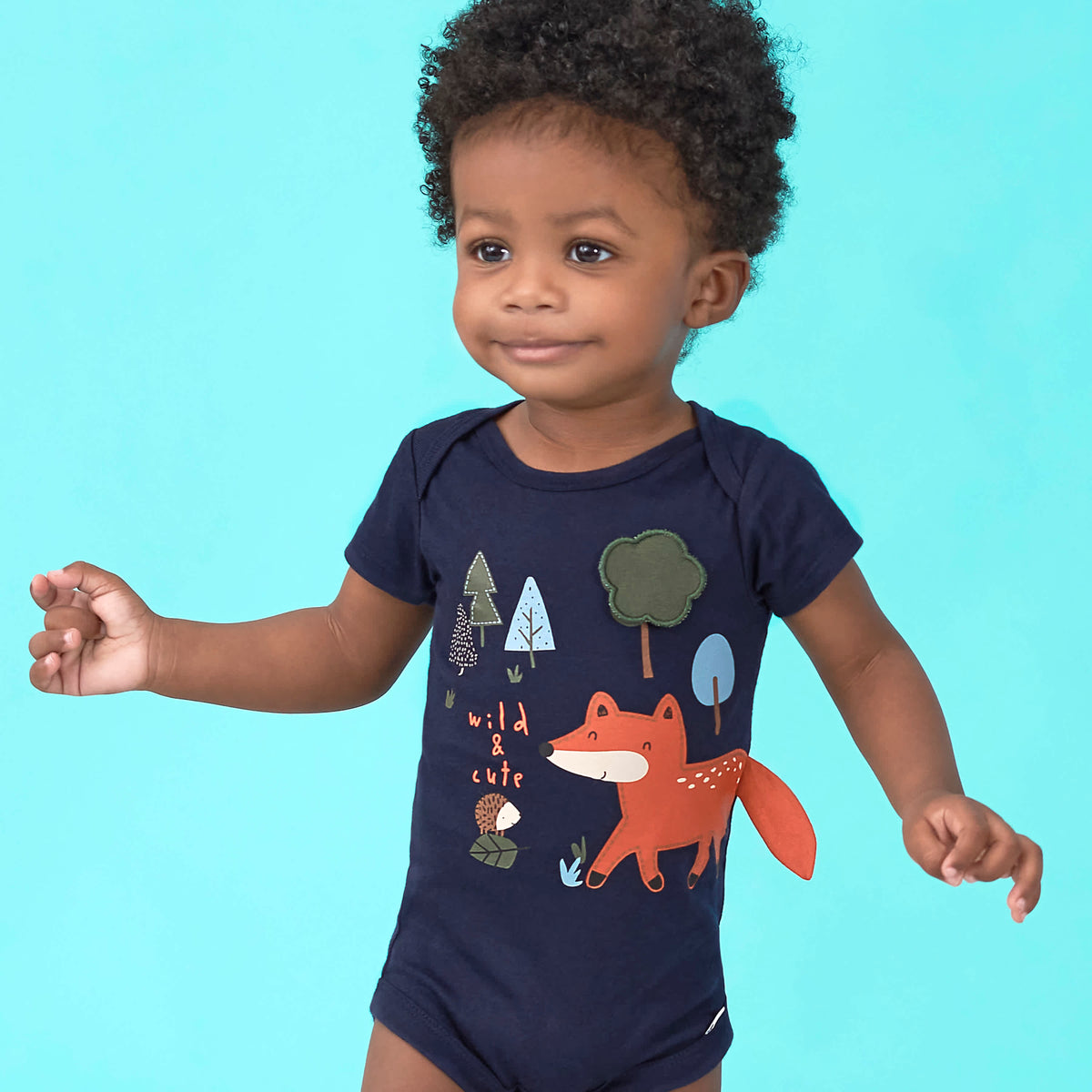 5-Pack Baby Boys Fox Short Sleeve Onesies Bodysuits, view 2