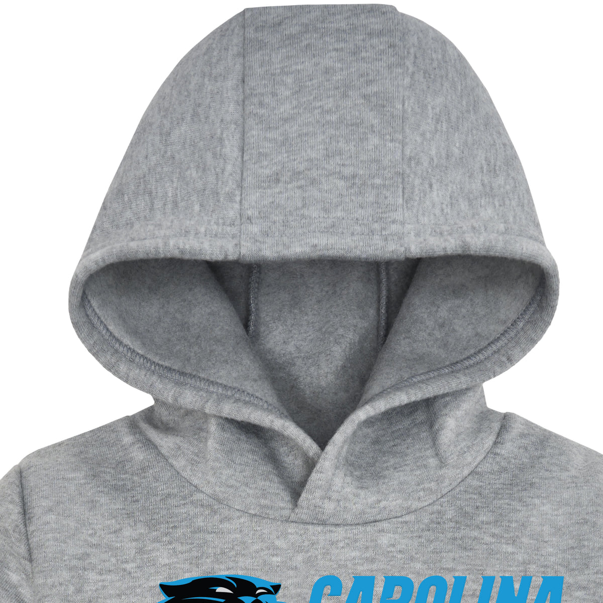Infant & Toddler Boys Panthers Hoodie, view 2
