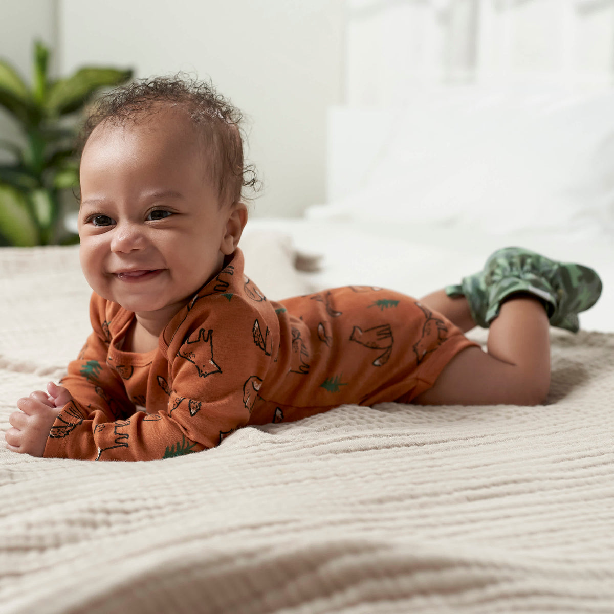 6-Pack Baby Boys Fox Long Sleeve Onesies Bodysuits, view 4
