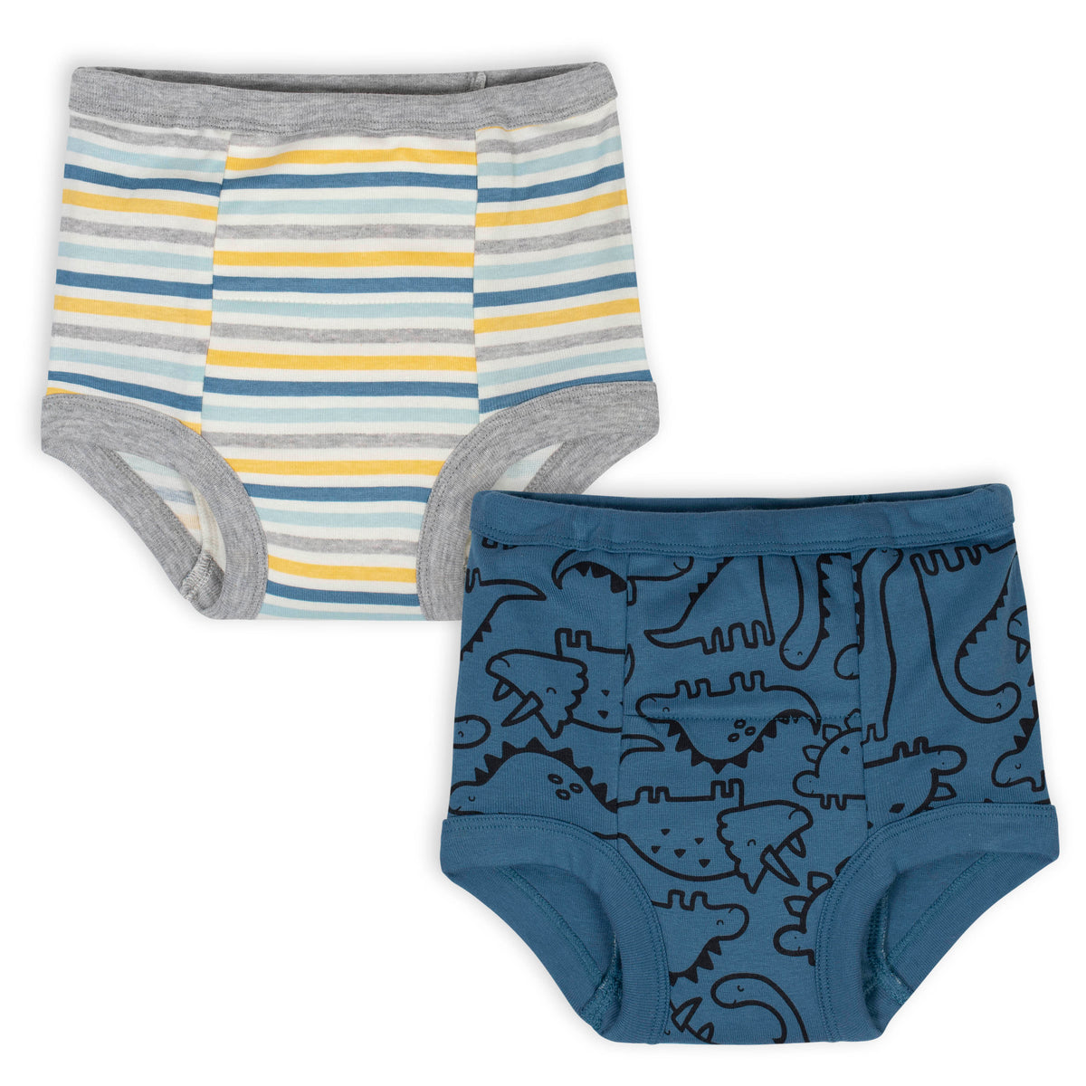 2-Pack Toddler Boys Dinosaur Training Pants